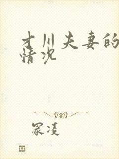 才川夫妻的恋爱情况