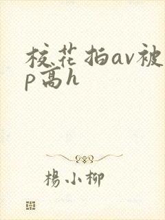 校花拍av被np高h