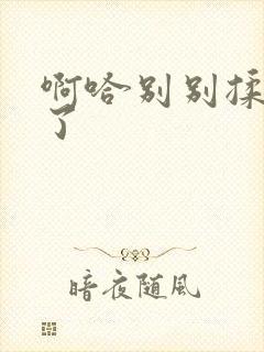 啊哈别别揉那处了封面