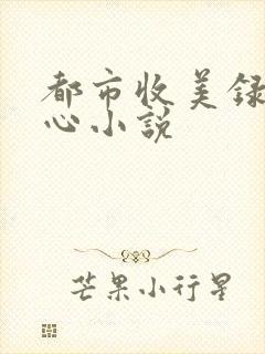 都市收美录宁素心小说