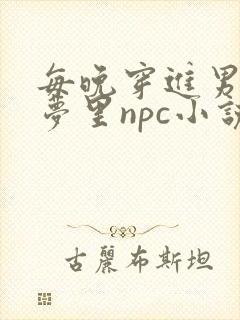 每晚穿进男神的梦里npc小说封面