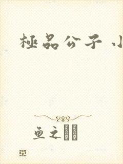 极品公子 小说封面