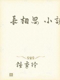 长相思 小说