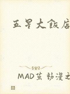 五星大饭店小说