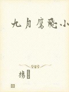 九月鹰飞小说