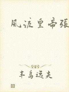 风流皇帝张无忌