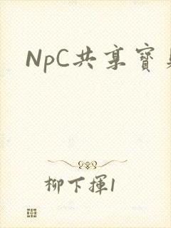 NpC共享宝贝