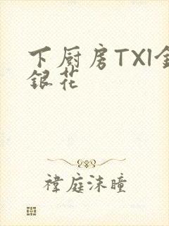 下厨房TXl金银花