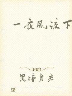一夜风流下载