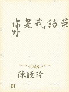 你是我的荣耀番外