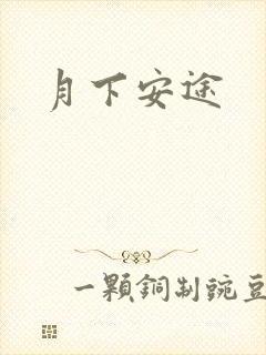 月下安途