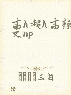 高h超h高辣h文np
