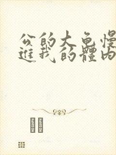 公的大龟慢慢挺进我的体内视频