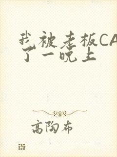 我被老板CAO了一晚上