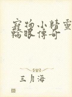 宠物小精灵之写轮眼传奇