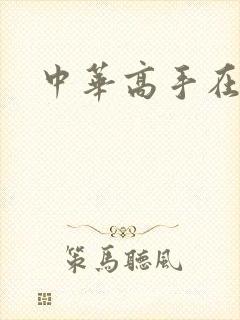 中华高手在异世