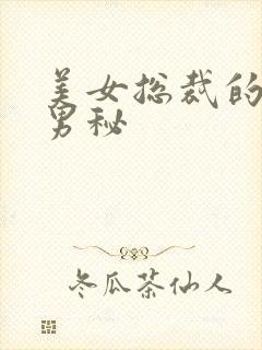 美女总裁的贴身男秘封面