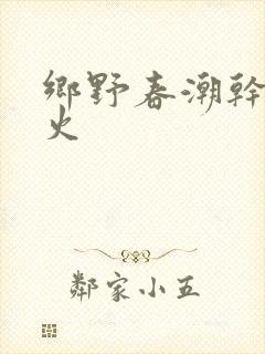 乡野春潮干柴烈火封面