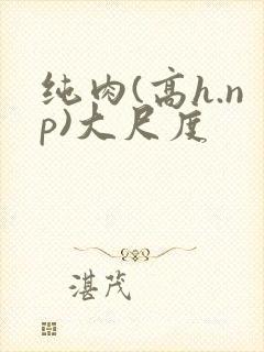 纯肉(高h.np)大尺度封面