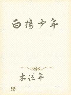 白杨少年