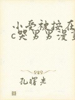 小受被按在墙上c哭男男漫画封面