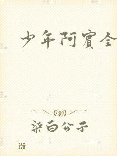 少年阿宾全集封面