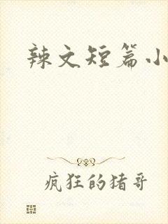 辣文短篇小说