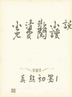 小清欢小说全文免费阅读