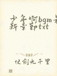少年啊bgm最新章节txt