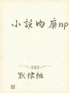 小说肉糜np