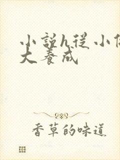 小说h从小做到大养成封面