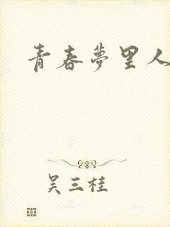 青春梦里人封面