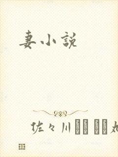妻小说