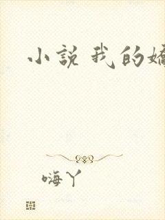 小说 我的娇妻