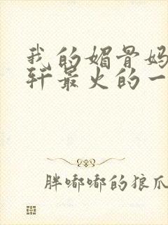 我的媚骨妈妈林轩最火的一句