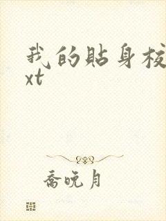 我的贴身校花txt封面