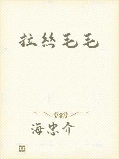 拉丝毛毛