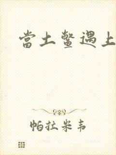 当土鳖遇上海龟封面