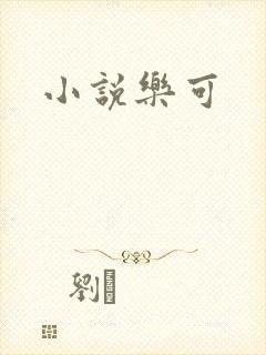 小说乐可封面