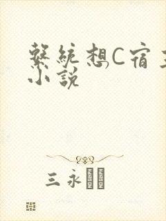 系统想C宿主的小说