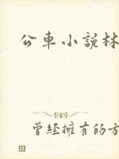公车小说林蔓蔓