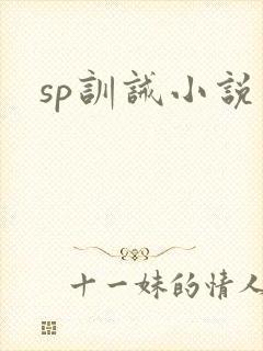 sp训诫小说