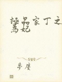 极品家丁之册母为妃