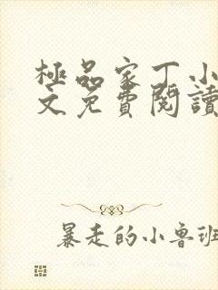 极品家丁小说全文免费阅读