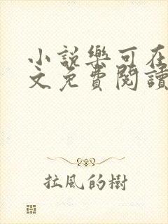 小说乐可在线全文免费阅读笔趣阁下载网站