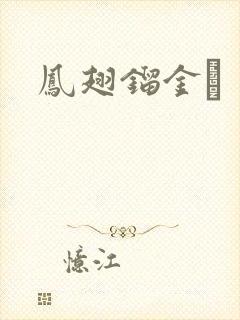 凤翅镏金镋封面