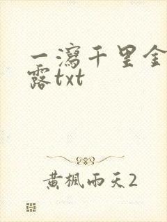 一泻千里金银花露txt