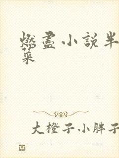 燃尽小说半截白菜