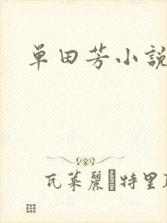 单田芳小说