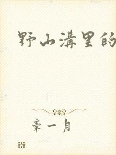 野山沟里的村庄